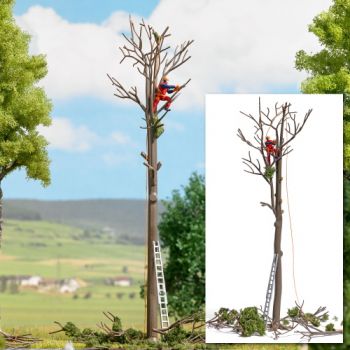 Baumpflege, Baumschnitt-Szene mit kommunalem Mitarbeiter in Sicherheitskleidung, mit Kettensäge, mit Leiter