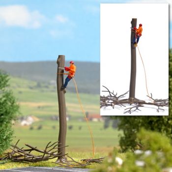 Baumabtragung, Szene einer Baumabtragung mit kommunalem Mitarbeiter in Sciherheitskleidung und mit Kettensäge