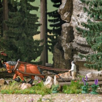 Historisches Holzrücken mit dem Pferd werden geschlagene Bäume aus dem Wald entfernt, Pferdewirt mit Kaltblüter inklusiv Rückeausrüstung und Baumstamm