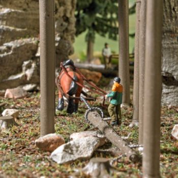 Schauholzrücken mit dem Pferd werden geschlagene Bäume aus dem Wald entfernt, Pferdewirt mit Kaltblüter inklusiv Rückeausrüstung und Baumstamm