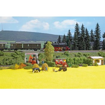 Rapsfeld, Größe 480 x 250 mm (Kann mit der Schere oder Messer bearbeitet werden)